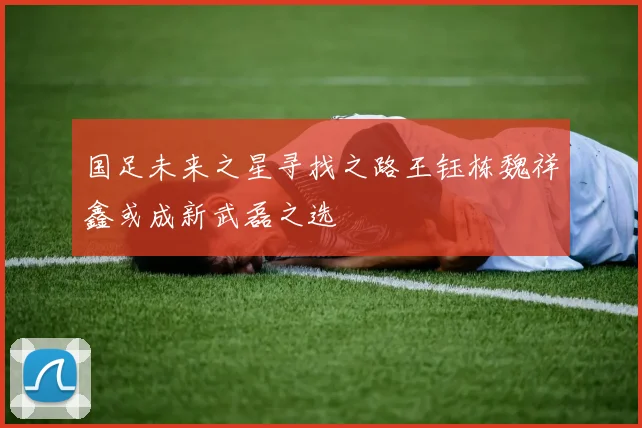 国足未来之星寻找之路王钰栋魏祥鑫或成新武磊之选